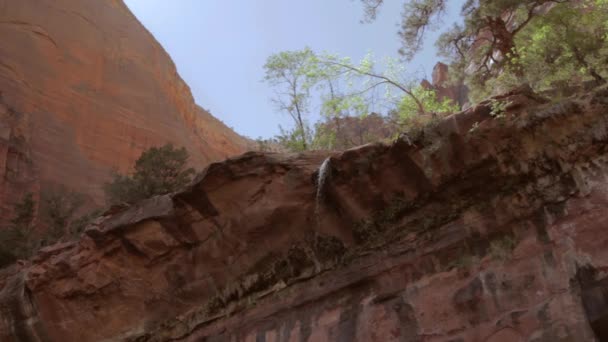 Wasserfall im smaragdgrünen Pool — Stockvideo