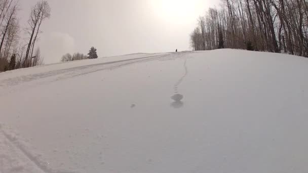 Skifahrer in der Parkstadt — Stockvideo