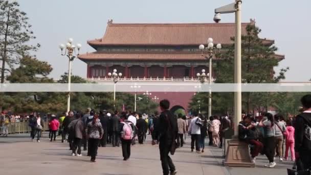 The Forbidden City Palace Courtyard — Stock Video