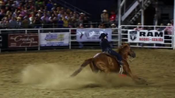 Cowboy rijdt saddleback — Stockvideo