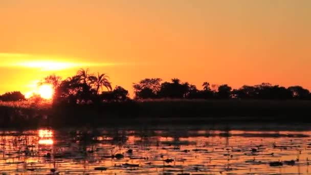 Solnedgången båttur på floden — Stockvideo