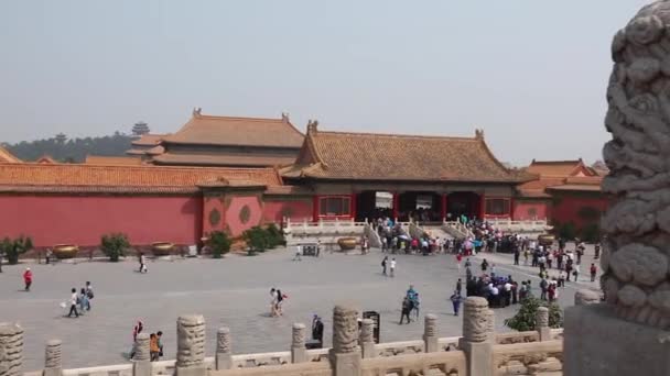 The Forbidden City Palace Courtyard — Stock Video