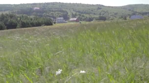 Farm cottage in field — Stock Video