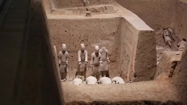 Terra Cotta Warrior Museum — Stockvideo