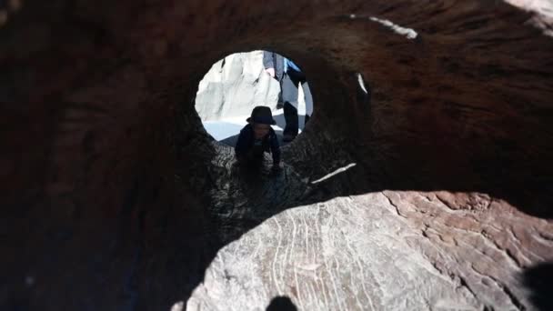 Barn kryper genom en tunnel — Stockvideo