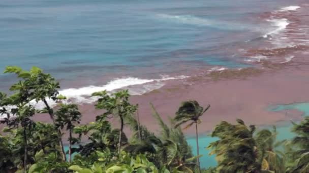 Spiaggia tropicale dell'isola — Video Stock