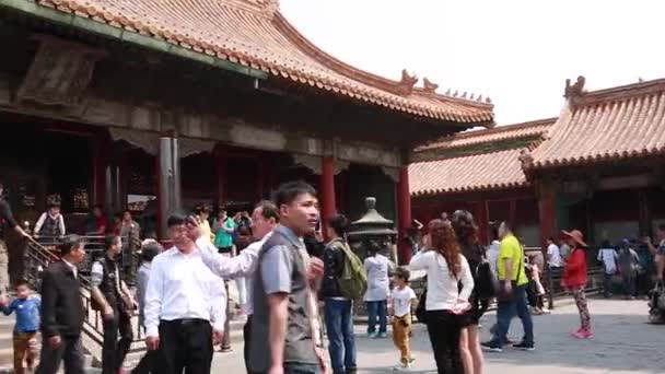 Туристи в пагода диких гусей — стокове відео