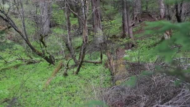 Krásný juizhaigou údolí — Stock video