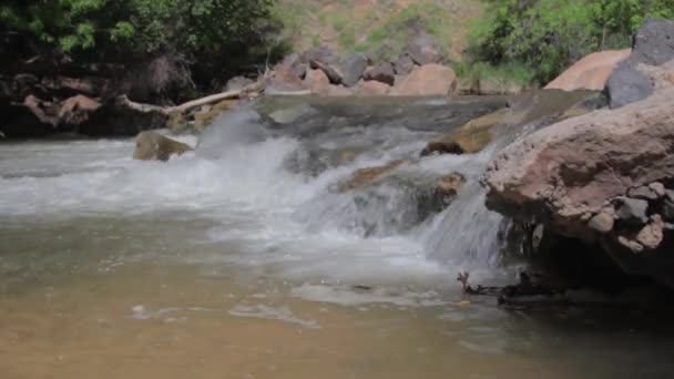 Waterfall on the Virgin river — Stock Video