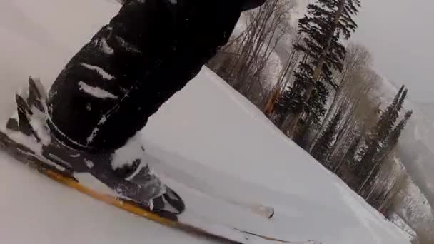 Snel skiën op de rails — Stockvideo