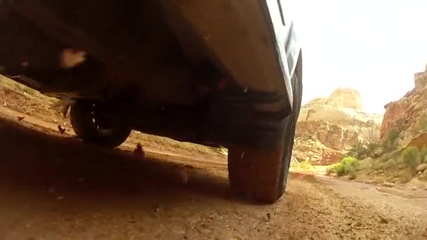 SUV kör genom capitol reef — Stockvideo