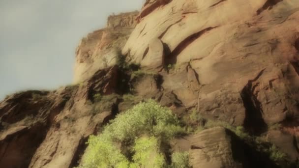 赤い岩の崖、木 — ストック動画