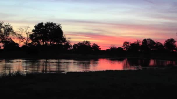 Bel tramonto sul fiume — Video Stock