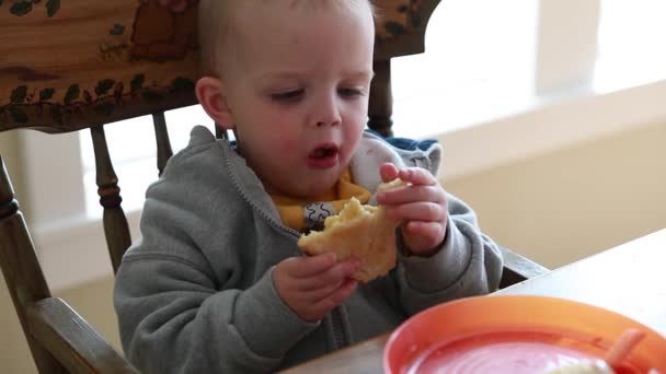 Menino comendo um queijo grelhado — Vídeo de Stock