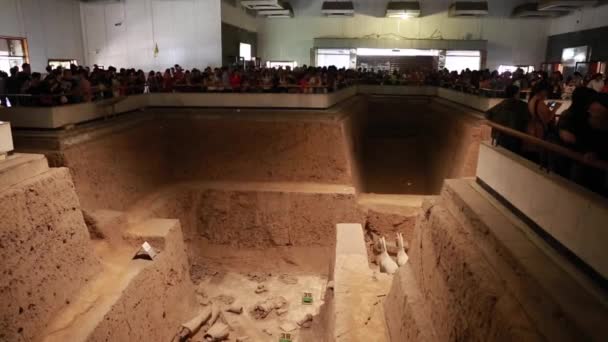 Turistler Terracotta Warrior Müzesi'nde — Stok video