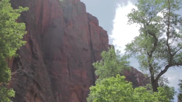 Senderistas disfrutando de la naturaleza — Vídeo de stock