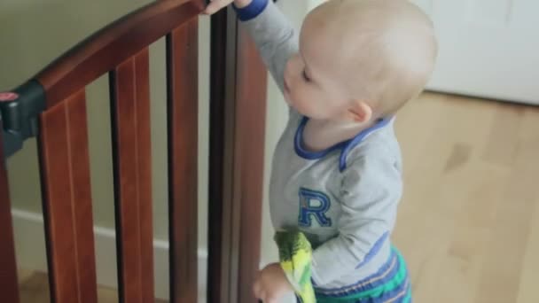 Toddler playing with bird — Stock Video