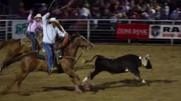 Cowboys roping no rodeio — Vídeo de Stock