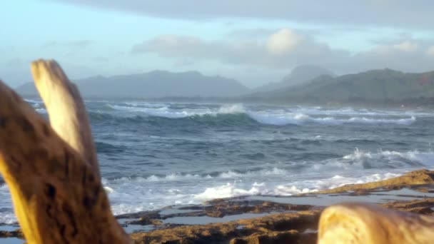 Plage île tropicale — Video