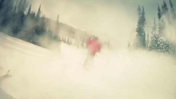 パークシティでスキーヤー — ストック動画