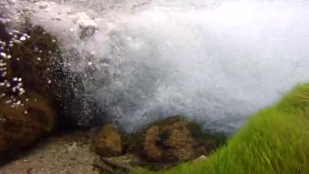 Vegetación del suelo en manantiales en cascada — Vídeos de Stock