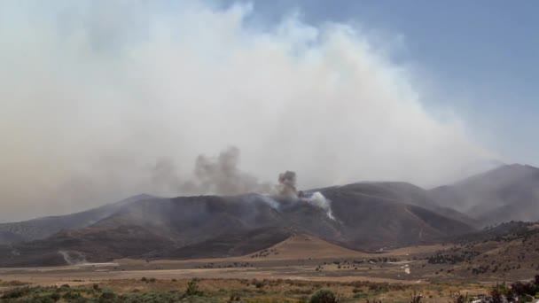 Raging wildfire burns across the mountain — Stock Video