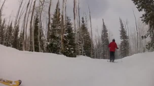 スキー リゾートのスキー場の男 — ストック動画