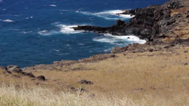 Litoral sul da ilha — Vídeo de Stock