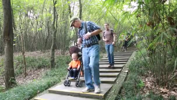 Turistler Panda Merkezi'ni ziyaret edin. — Stok video