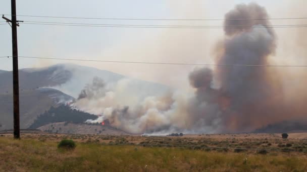 Razende wildvuur brandwonden over de berg — Stockvideo