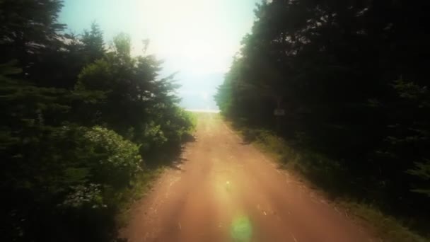 Прогулянка по брудній дорозі — стокове відео