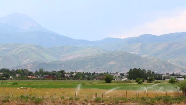 Watering field in  mountain valley — Stock Video