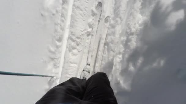L'uomo sta attraversando lo sci di fondo — Video Stock
