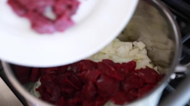 Woman cooks meat and onions — Stock Video