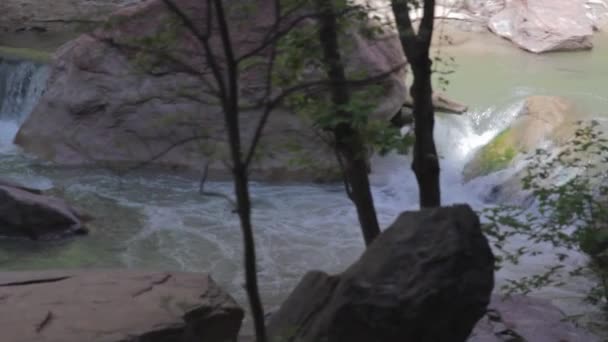 Virgin river w zion national park — Wideo stockowe