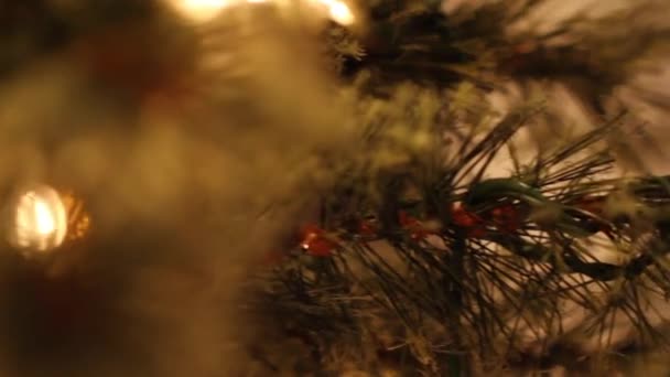 Γυναίκα διακοσμεί χριστουγεννιάτικο δέντρο — Αρχείο Βίντεο