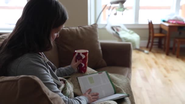 Νεαρή γυναίκα διαβάζει ένα βιβλίο στον καναπέ — Αρχείο Βίντεο