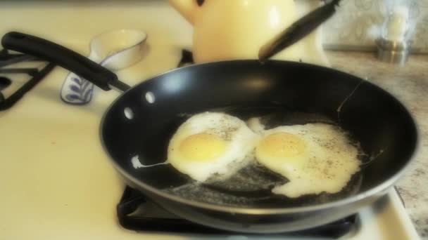 Frying Eggs in a Pan — Stock Video