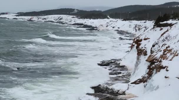 Χιονοσκέπαστο ακτή και τραχύ ωκεάνια ύδατα — Αρχείο Βίντεο