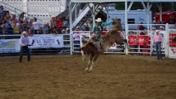 Cowboys reiten sattelfest — Stockvideo