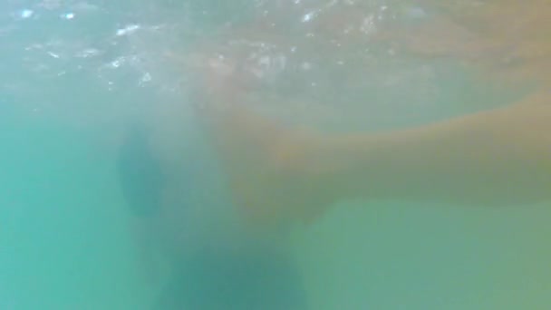 小男孩在游泳池里游泳 — 图库视频影像
