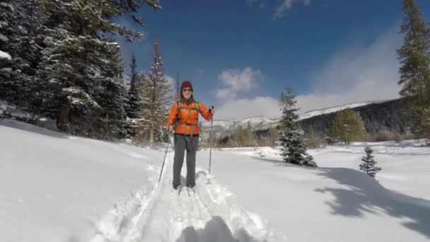 Woman cross country skiing — Stock Video