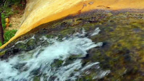 Wasserfall und Oase im Park — Stockvideo