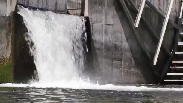 산 강에 댐 — 비디오