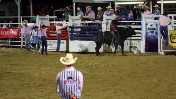 Vilda västern Cowboy ridande på en tjur — Stockvideo