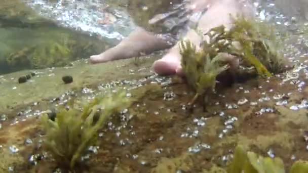 Man går längs havet ordet — Stockvideo