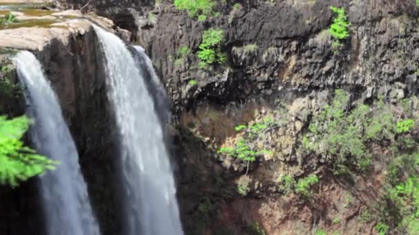 Dschungel-Wasserfall auf der Insel — Stockvideo