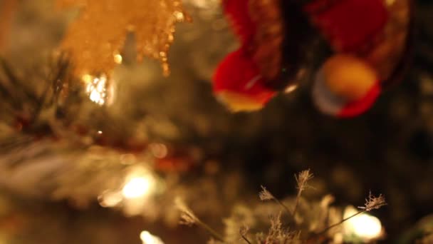 Donna decora albero di Natale — Video Stock