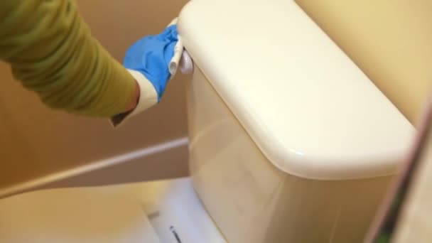 Vrouw scrubs een toilet — Stockvideo