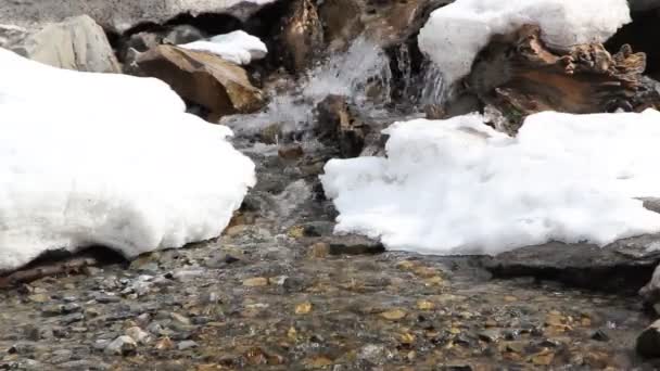 Schmelzender Schnee bildet einen Strom — Stockvideo